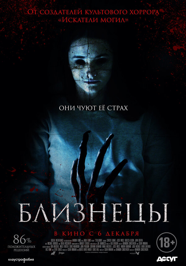 Постер: Близнецы (2017)