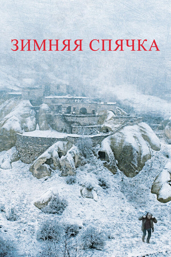 Постер: Зимняя спячка (2014)