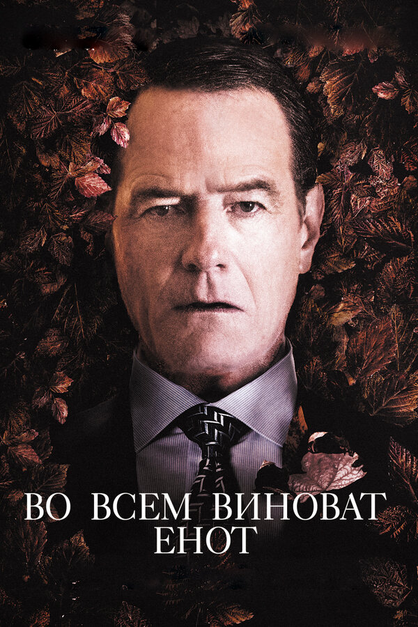 Постер: Во всем виноват енот (2016)