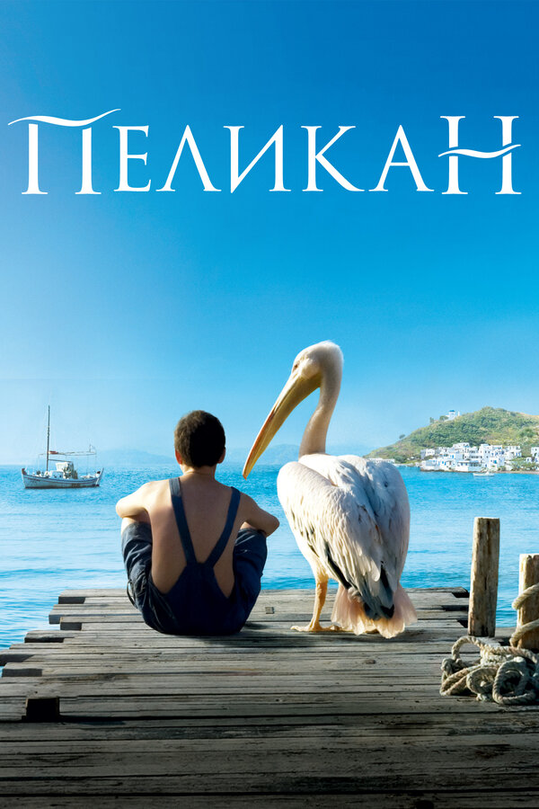 Постер: Пеликан (2011)