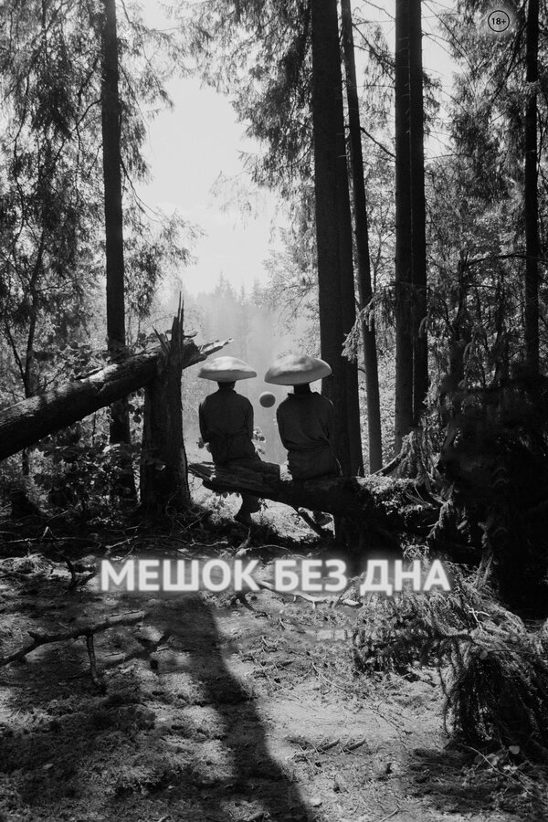 Постер: Мешок без дна (2017)