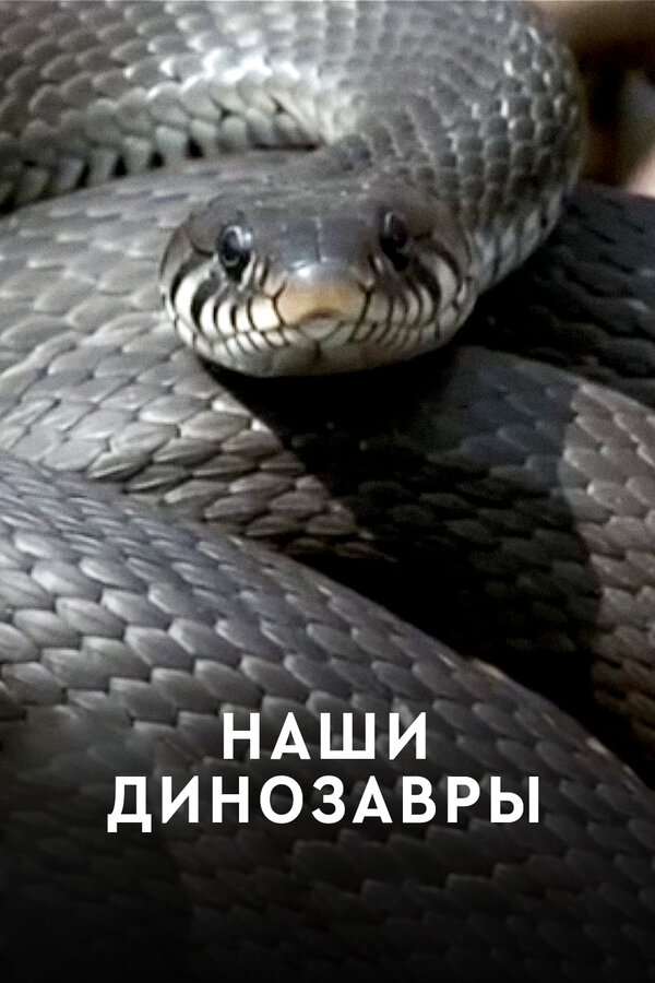 Постер: Наши динозавры (2012)