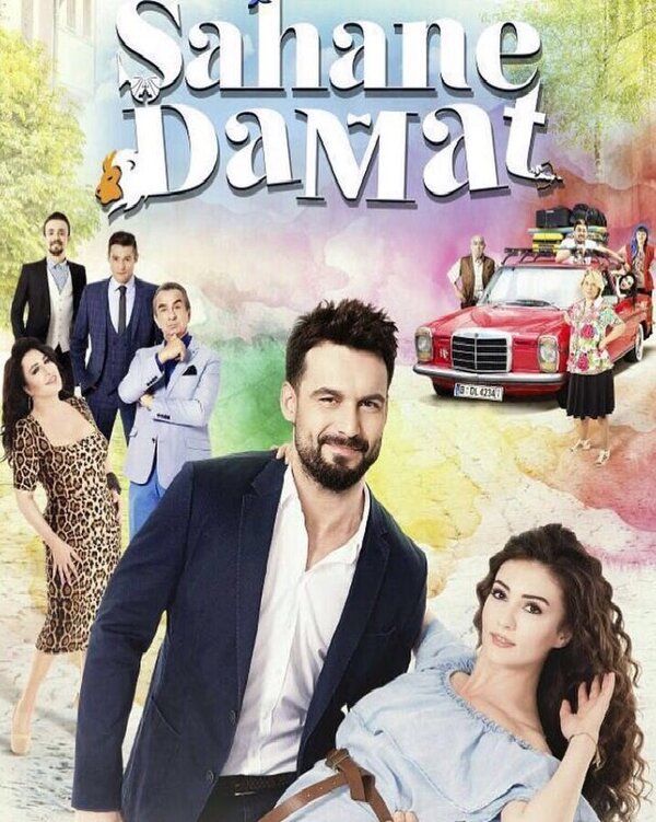 Постер: Замечательный зять (2016)