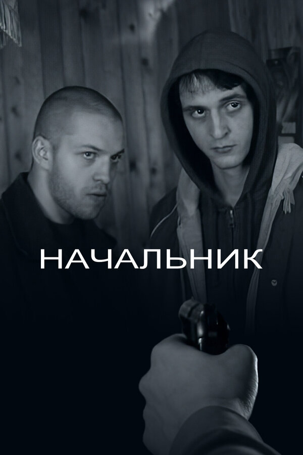 Постер: Начальник (2009)