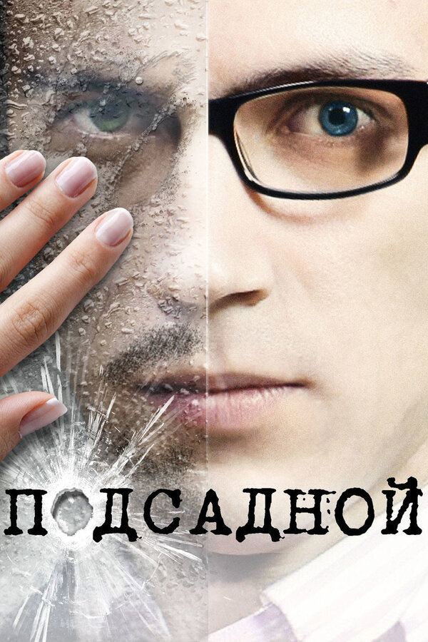 Постер: Подсадной (2010)