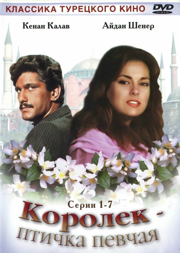 Постер: Королёк – птичка певчая (1986)