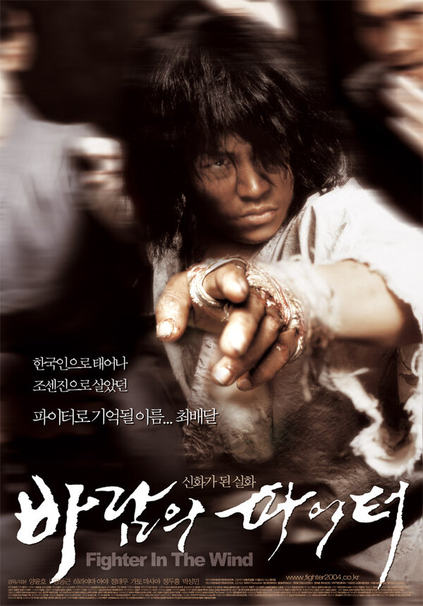 Постер: Воин ветра (2004)