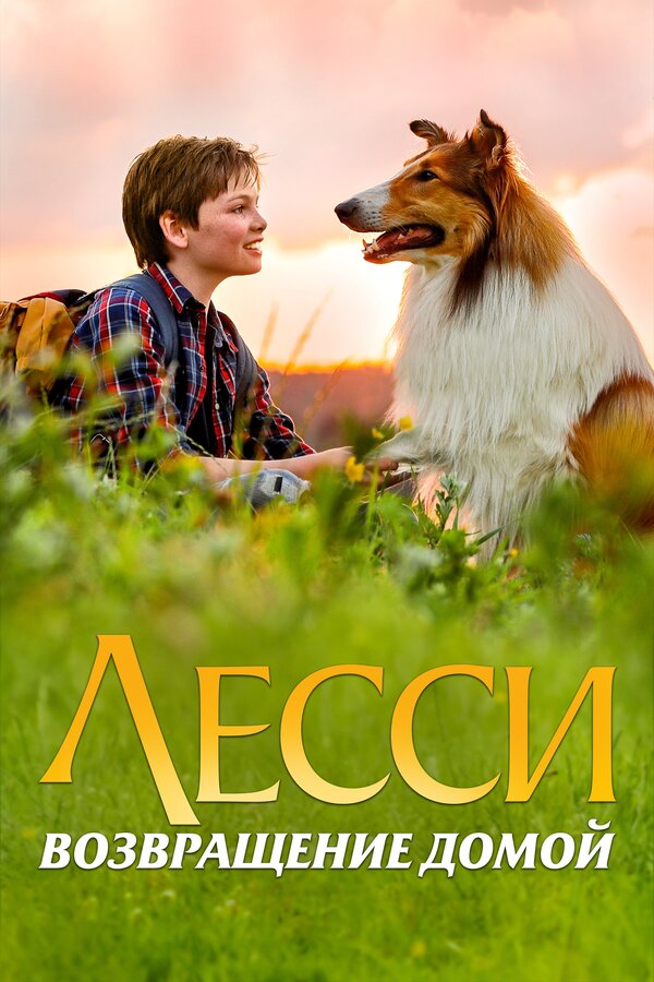 Постер: Лесси. Возвращение домой (2020)
