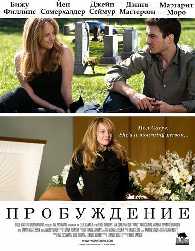 Постер: Пробуждение (2009)