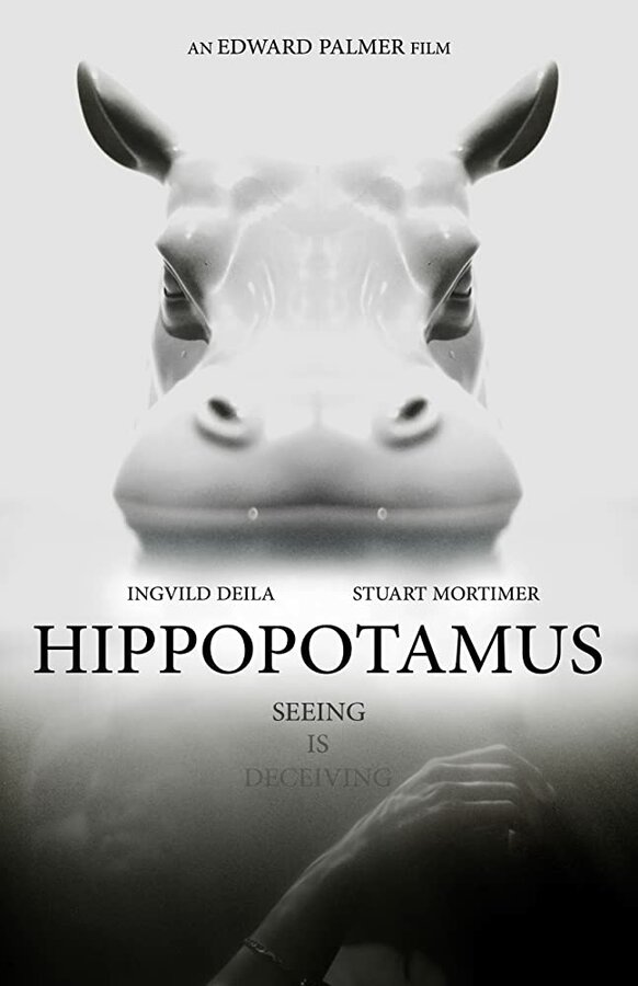Постер: Гиппопотам (2018)