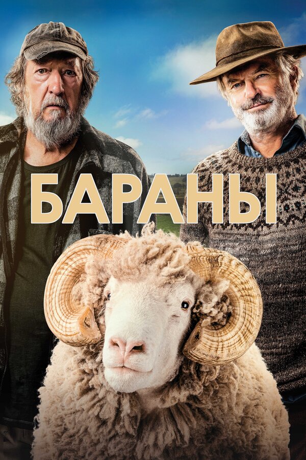 Постер: Бараны (2020)