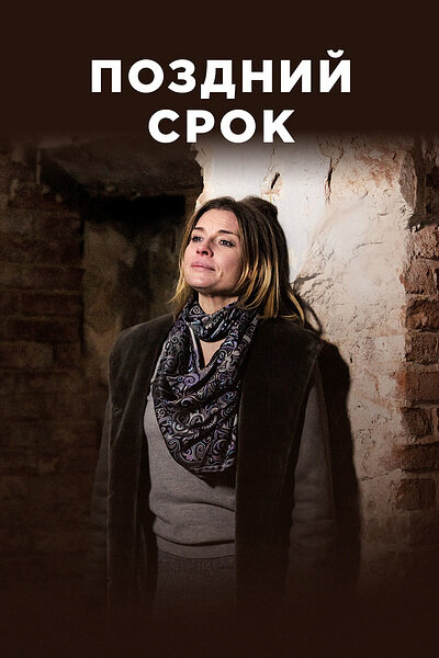 Постер: Поздний срок (2019)