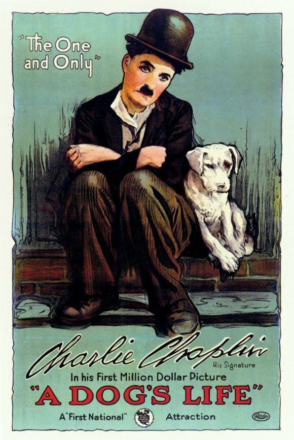 Постер: Собачья жизнь (1918)