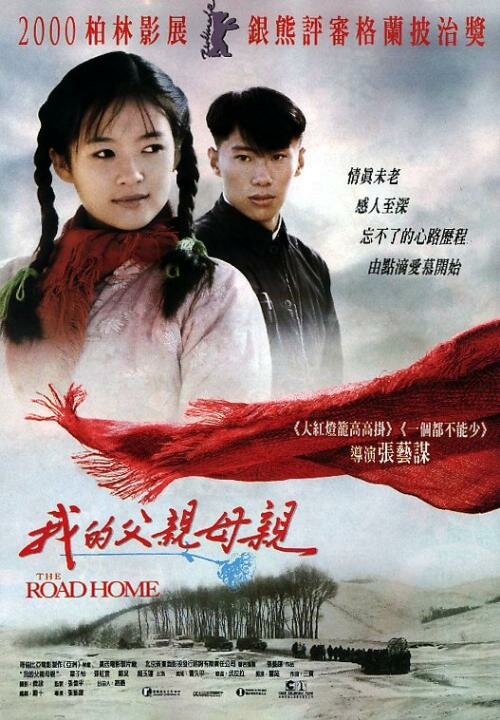 Постер: Дорога домой (1999)
