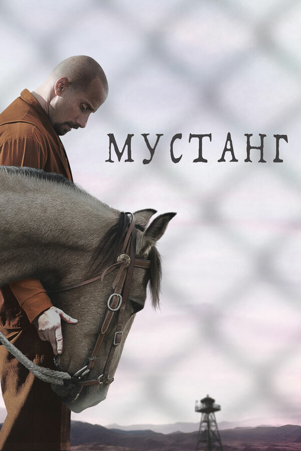 Постер: Мустанг (2017)