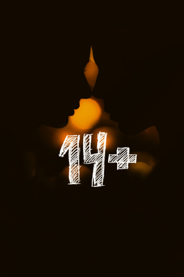 Постер: 14+ (2015)