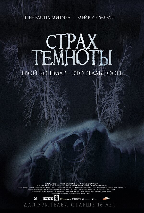 Постер: Страх темноты (2014)