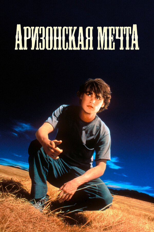 Постер: Аризонская мечта (1991)
