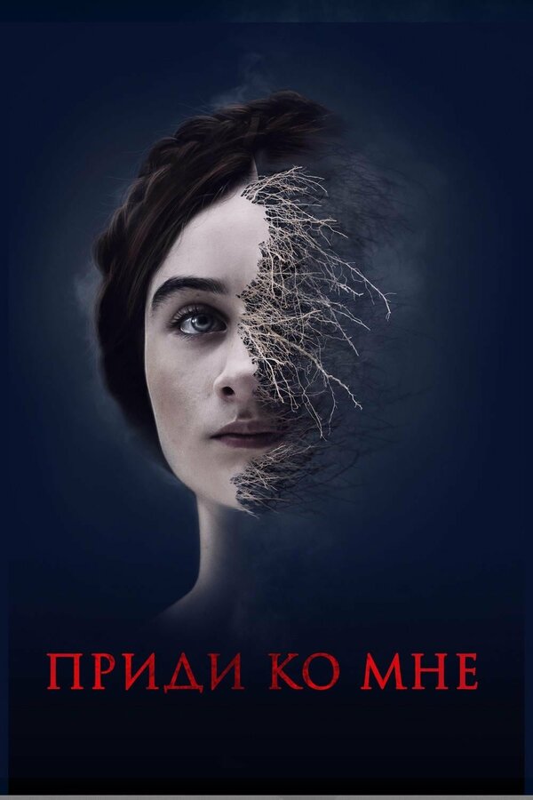 Постер: Приди ко мне (2019)