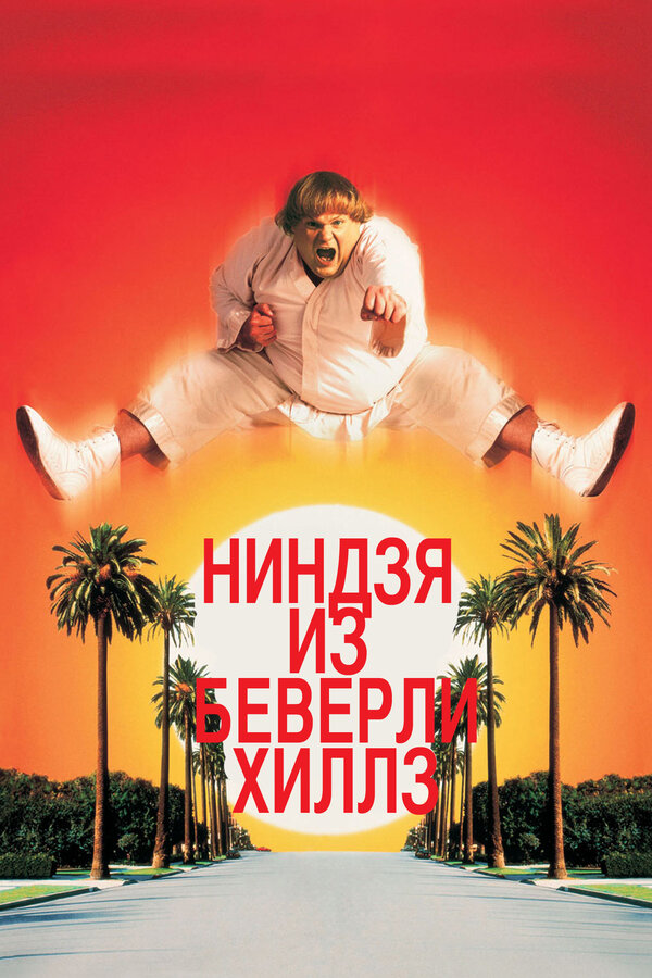 Постер: Ниндзя из Беверли-Хиллз (1997)