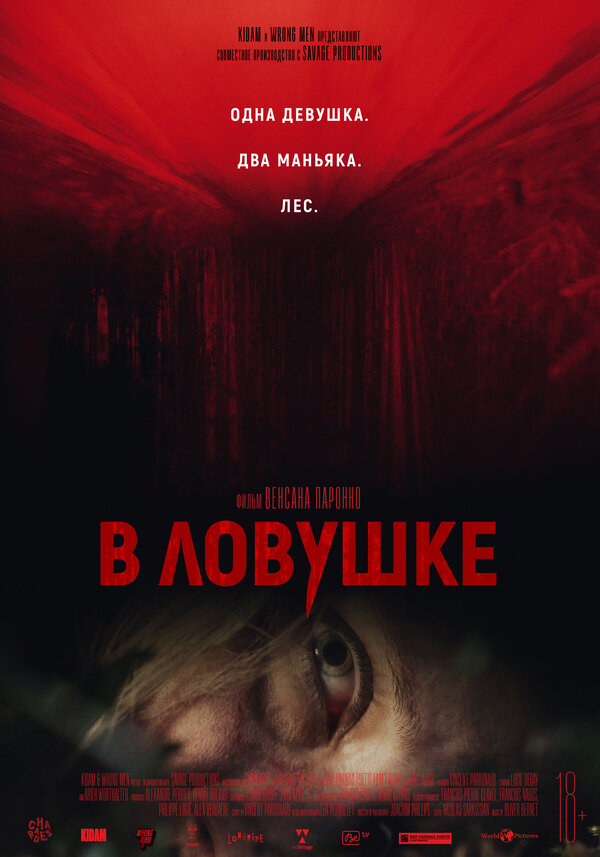 Постер: В ловушке (2020)