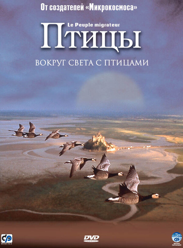 Постер: Птицы (2001)