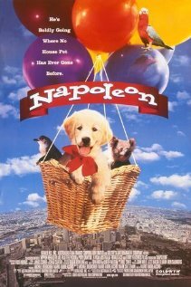 Постер: Наполеон (1995)