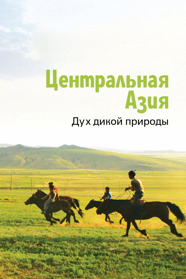 Постер: Центральная Азия. Дух дикой природы (2015)