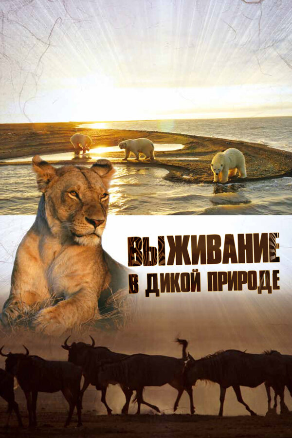Постер: Выживание в дикой природе (2015)