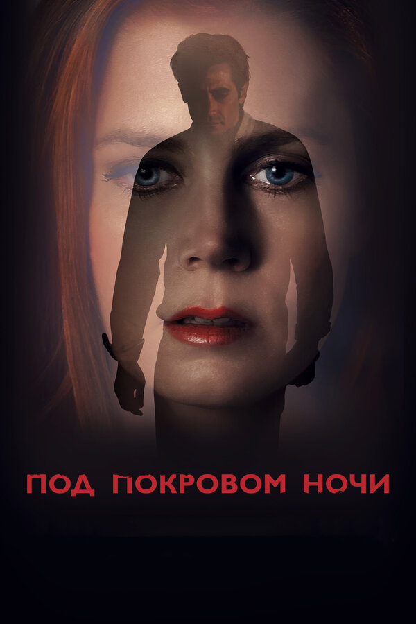 Постер: Под покровом ночи (2016)