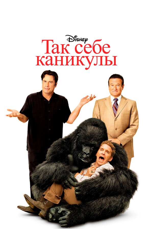 Постер: Так себе каникулы (2009)