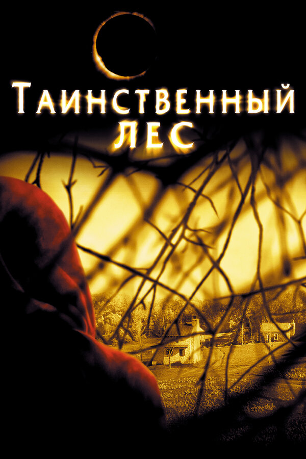 Постер: Таинственный лес (2004)