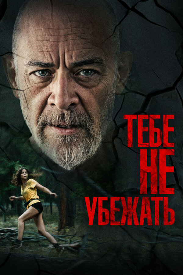 Постер: Тебе не убежать (2024)