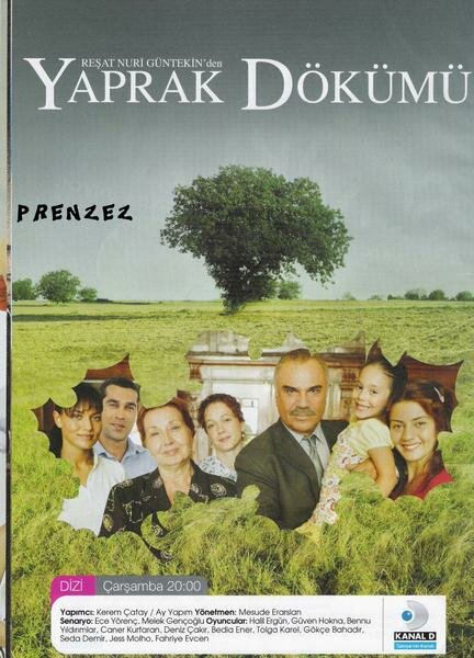 Постер: Листопад (2006)
