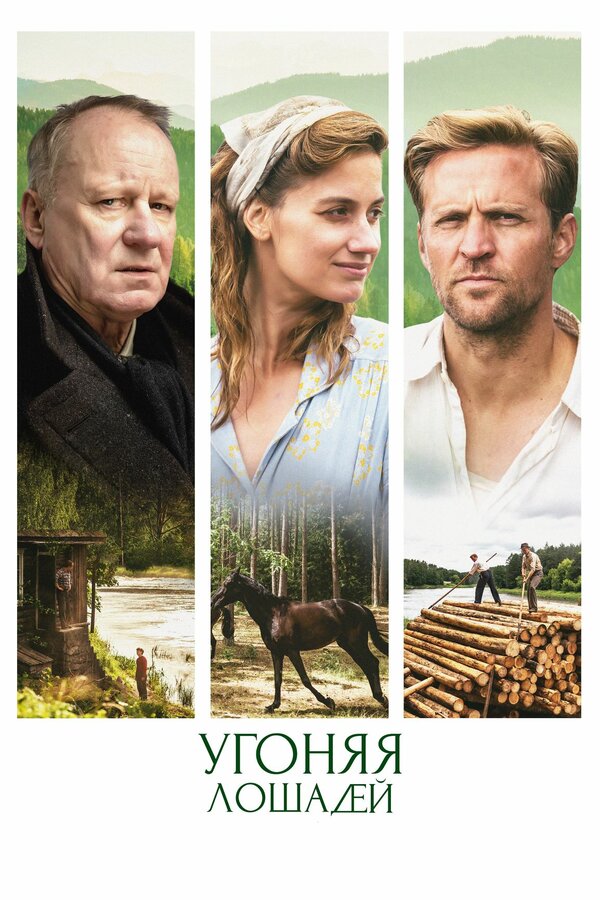 Постер: Угоняя лошадей (2019)