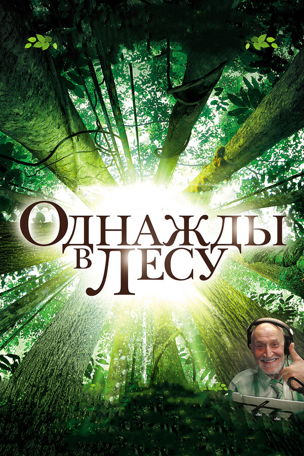 Постер: Однажды в лесу (2013)