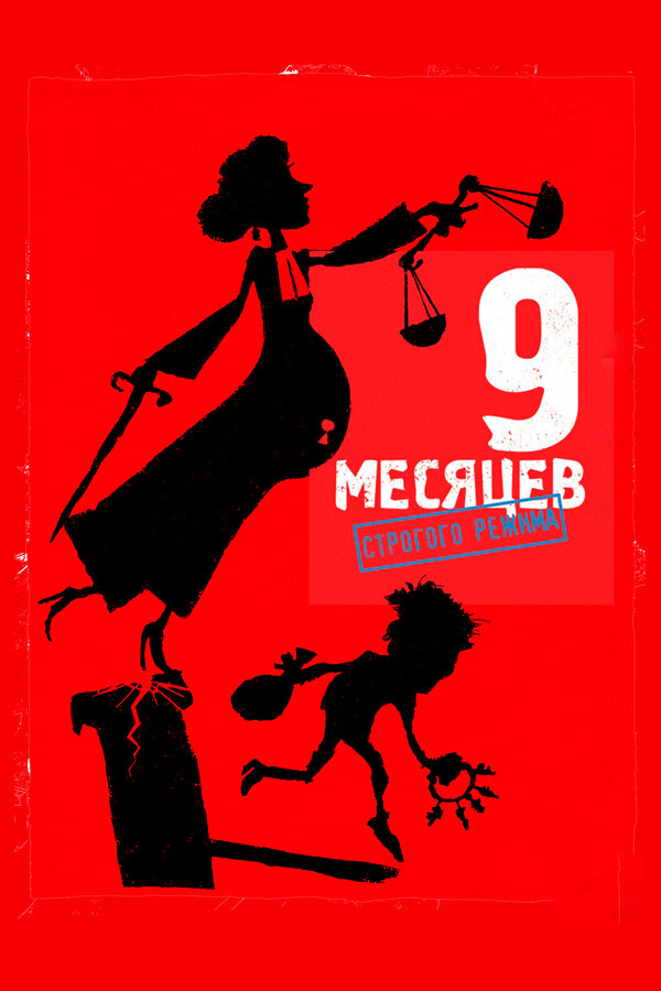 Постер: 9 месяцев строгого режима (2013)