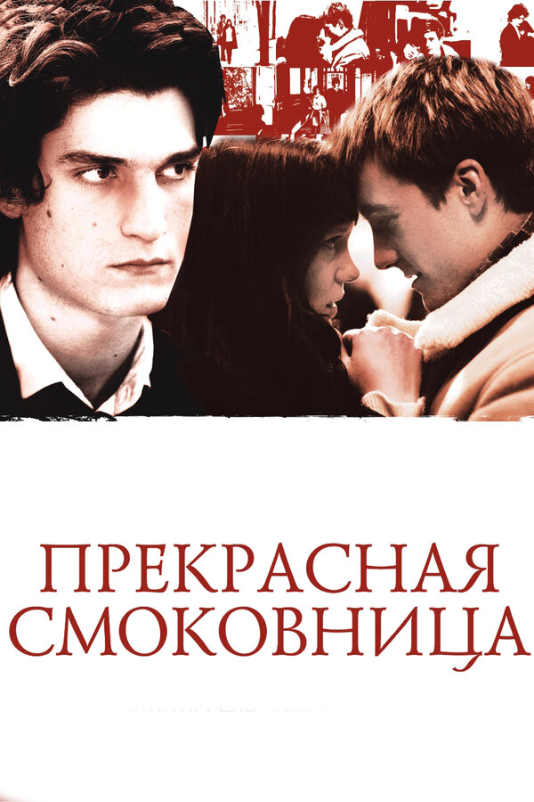 Постер: Прекрасная смоковница (2008)