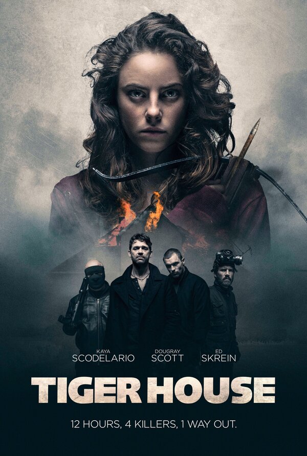 Постер: Дом тигра (2014)