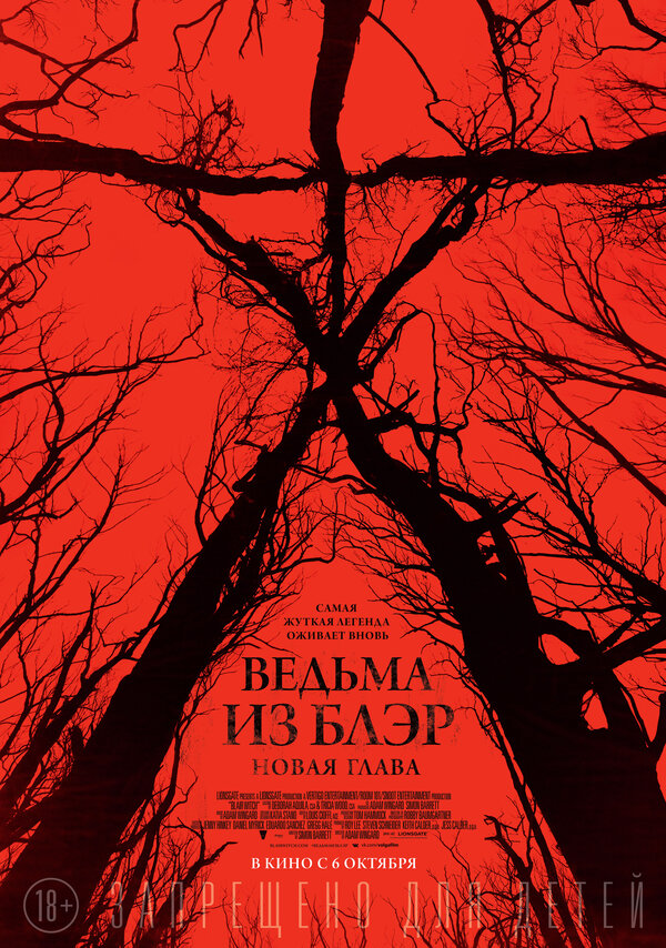 Постер: Ведьма из Блэр: Новая глава (2016)