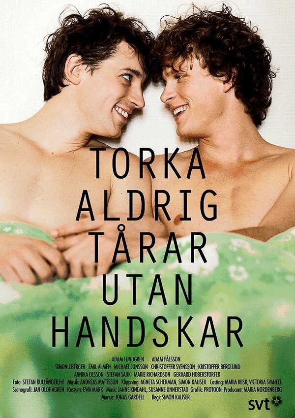Постер: Torka aldrig tårar utan handskar (2012)