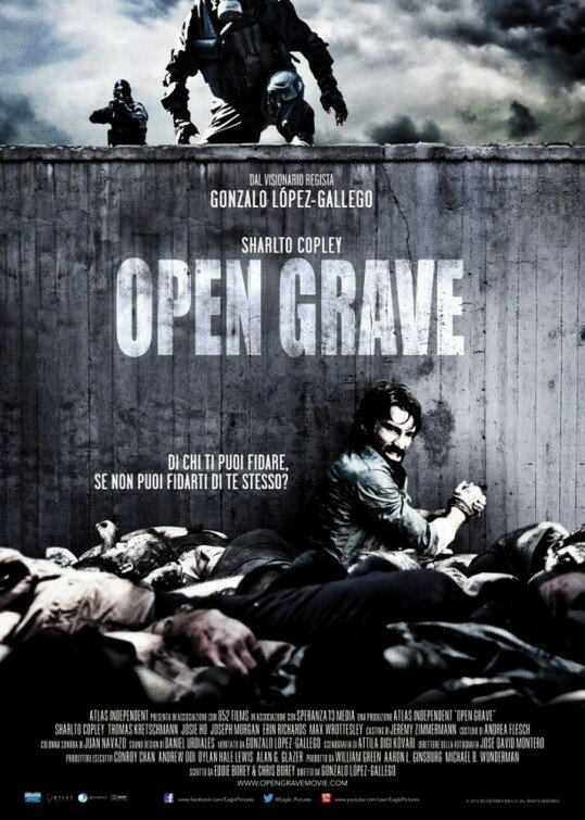 Постер: Открытая могила (2013)