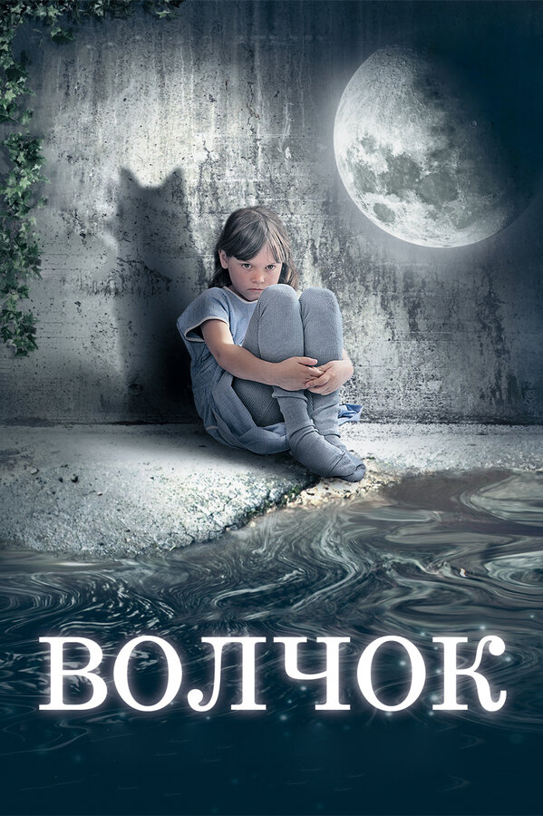 Постер: Волчок (2009)