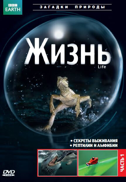 Постер: BBC: Жизнь (2009)