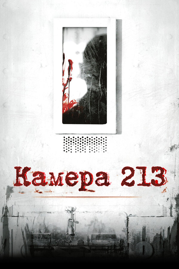 Постер: Камера 213 (2011)
