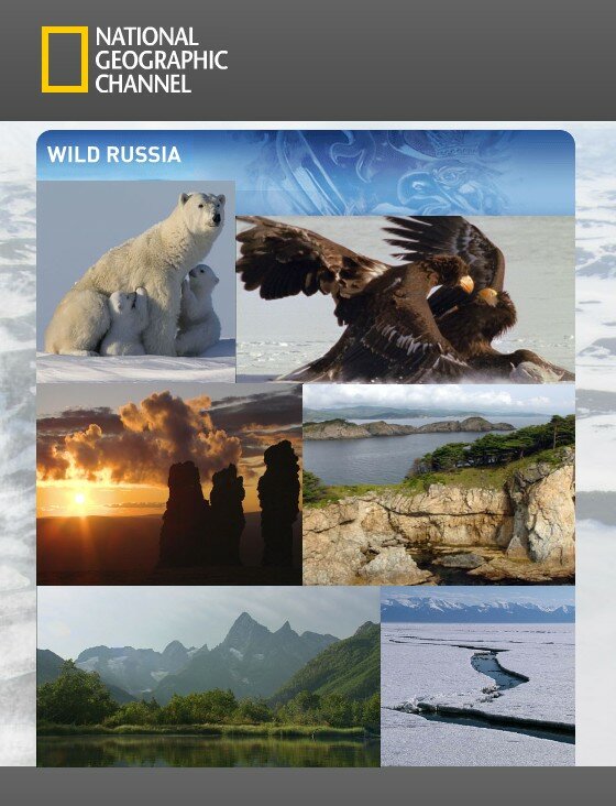 Постер: Дикая природа России (2008)