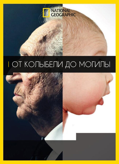 Постер: От колыбели до могилы (2016)