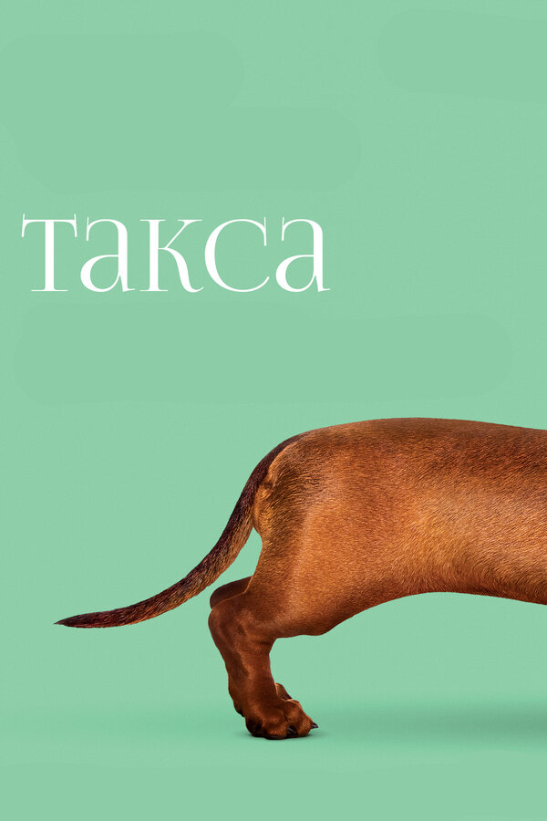 Постер: Такса (2015)