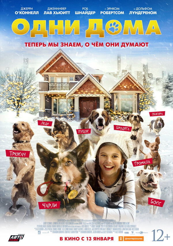 Постер: Одни дома (2021)