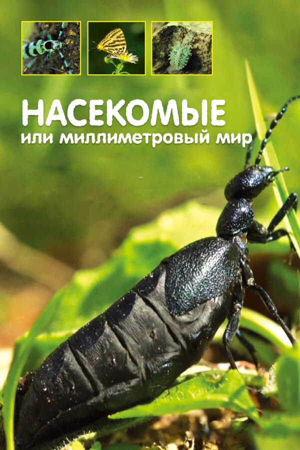Постер: Насекомые, или Миллиметровый мир (2014)